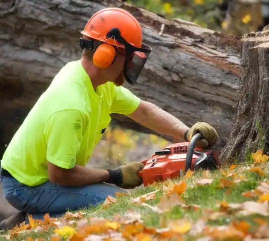 tree services Littleton Common